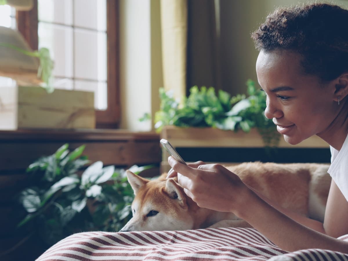 Pet